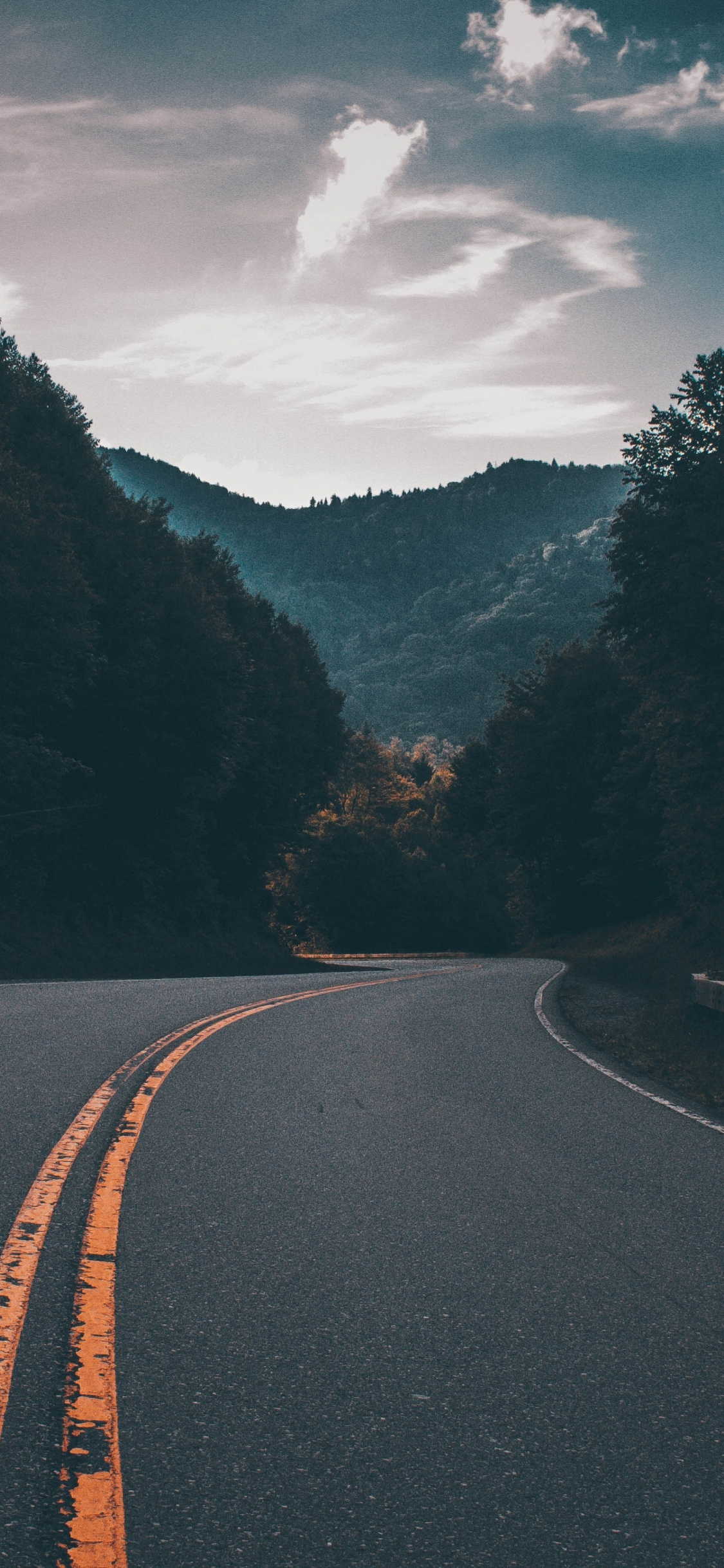 Highway, Road, Nature, Tree, Mountains, Wallpaper - Iphone Wallpaper Smoky Mountains - HD Wallpaper 