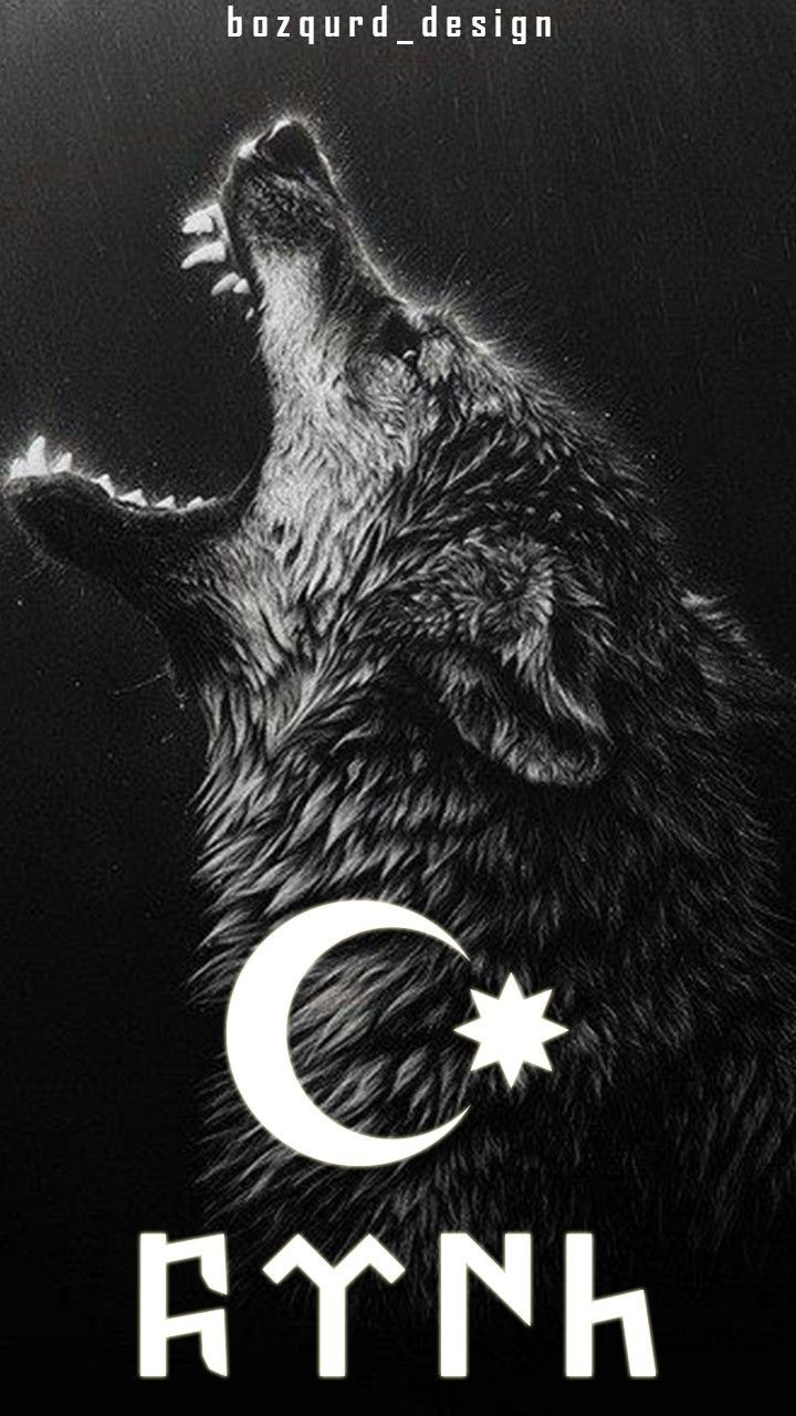 Türkçü Divar Kağızı Hd - Wolf Wallpaper For Mobile - 720x1280 Wallpaper - Türkçü Divar Kağızı Hd - Wolf Wallpaper For Mobile - 720x1280 Wallpaper -