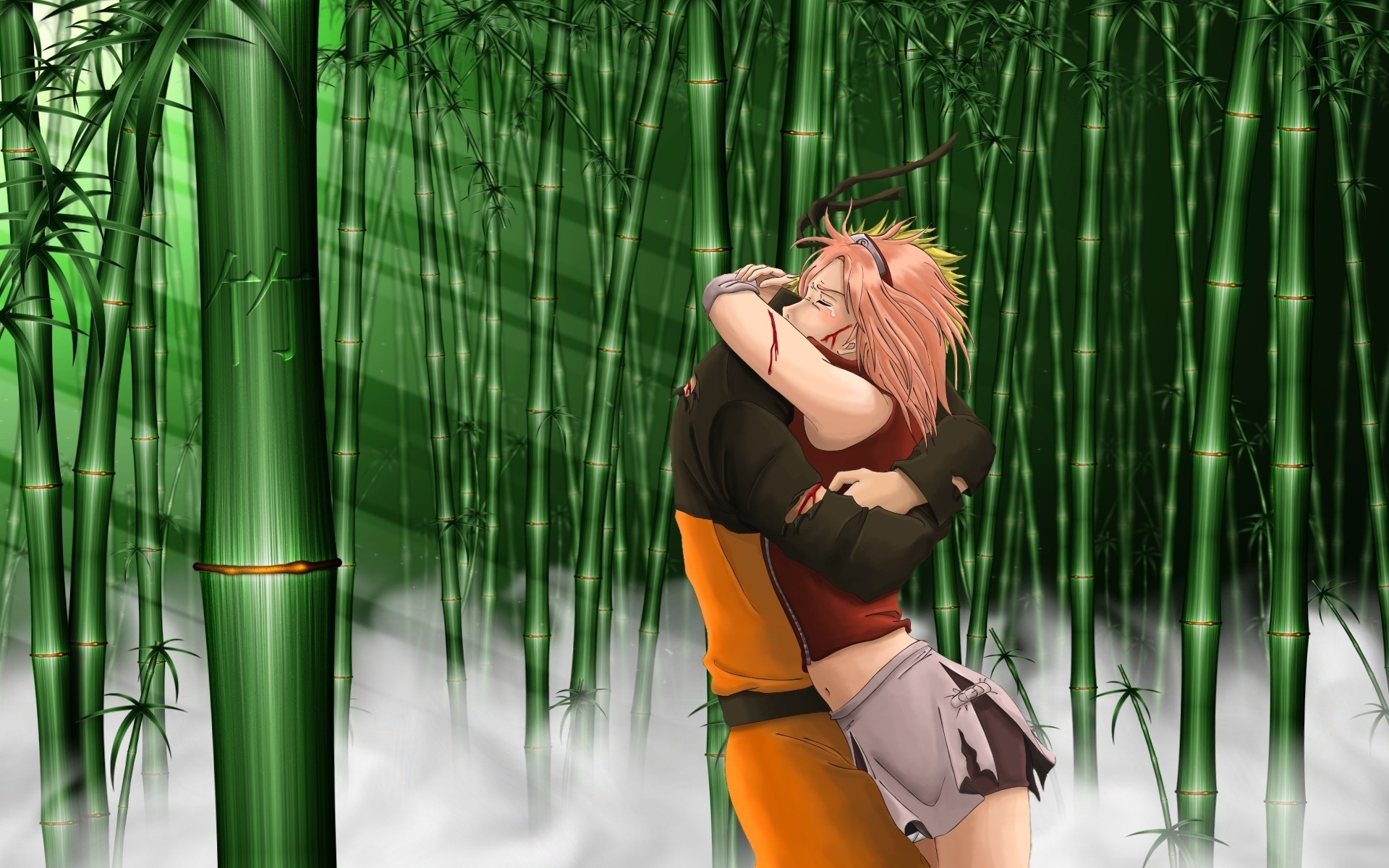 Naruto And Sakura Hug - HD Wallpaper 