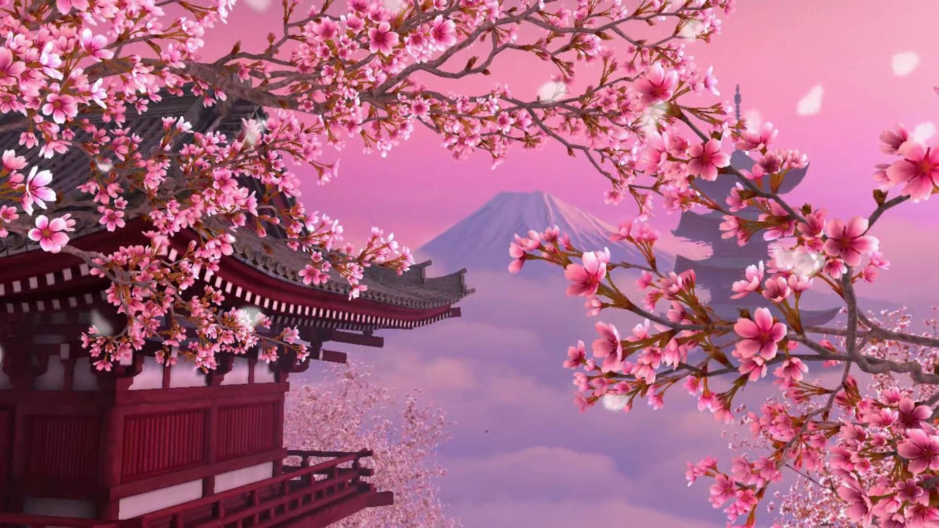 Cherry Blossom Background 1080p - HD Wallpaper 