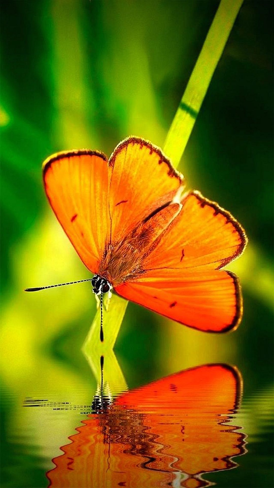 Wallpapers Samsung Galaxy A7 1080 1920 Awesome Hi Quality - Samsung Galaxy J7 Wallpaper Free Download - 1080x1920 Wallpaper Wallpapers Samsung Galaxy A7 1080 1920 Awesome Hi Quality - Samsung Galaxy J7 Wallpaper Free Download - 1080x1920 Wallpaper