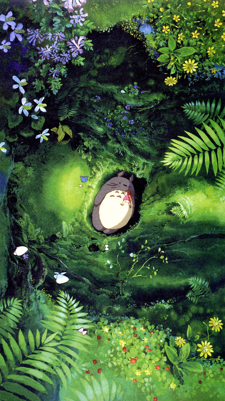 My Neighbor Totoro - Studio Ghibli Wallpaper Phone - HD Wallpaper 