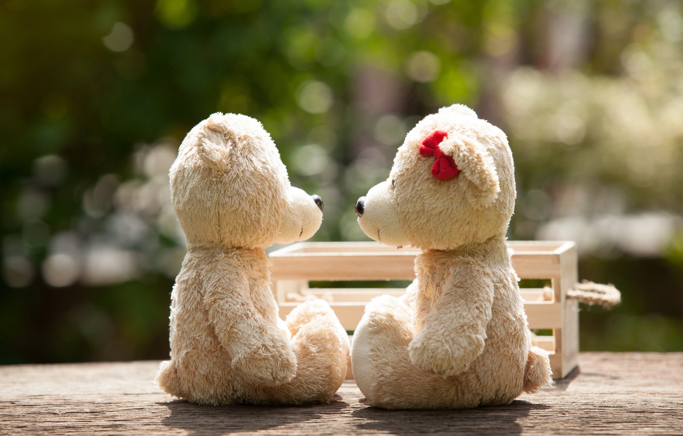 Photo Wallpaper Love, Toy, Bear, Pair, Love, Bear, - Love Romantic Teddy Bear - HD Wallpaper 