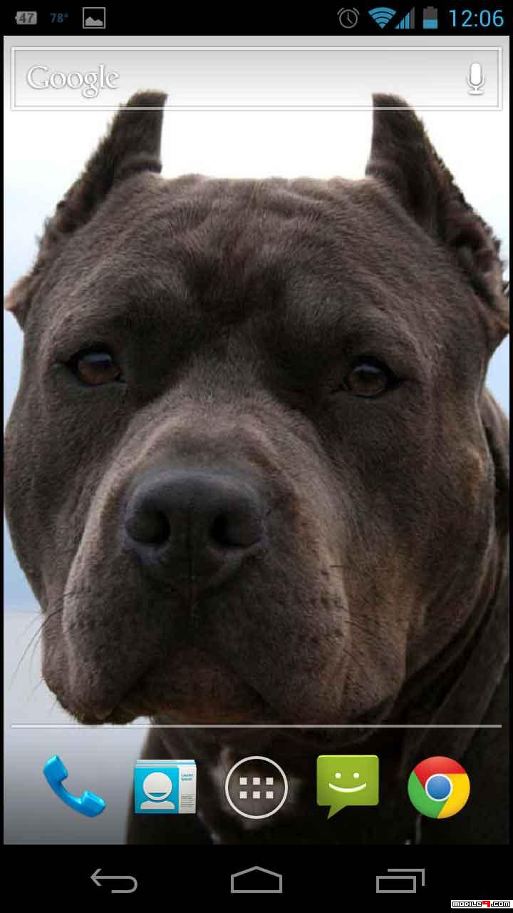 Shravanabelagola Lake - HD Wallpaper 