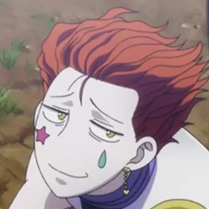 Hisoka And Illumi Wallpaper Engine - Hunter X Hunter Hisoka Profile - HD Wallpaper 