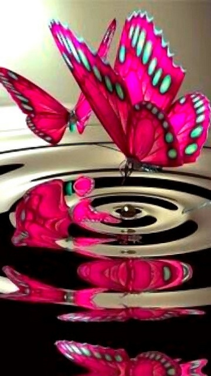 Download Hd Wallpaper Of Pink Butterfly - Love Butterfly Images Hd -  720x1280 Wallpaper 