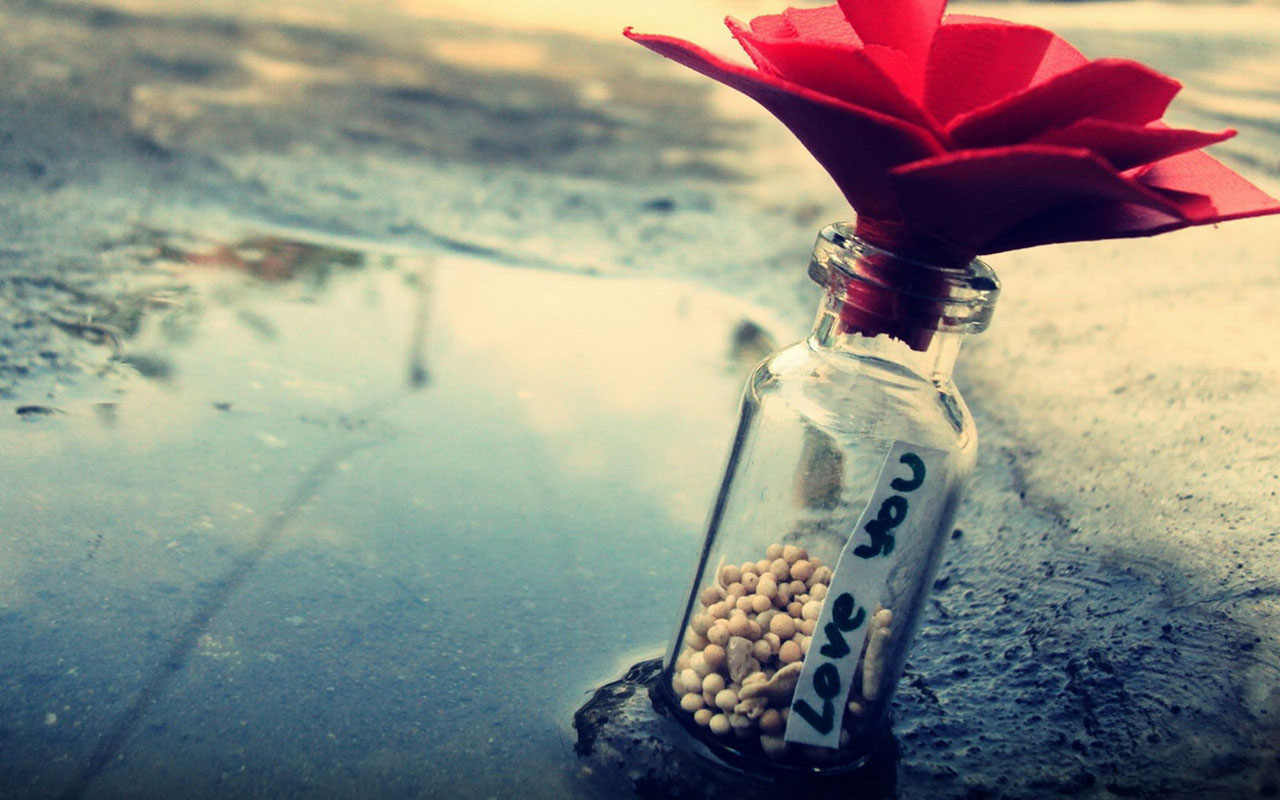 Love, Flowers, And Bottle Image - Desktop Backgrounds Romantic - HD Wallpaper 