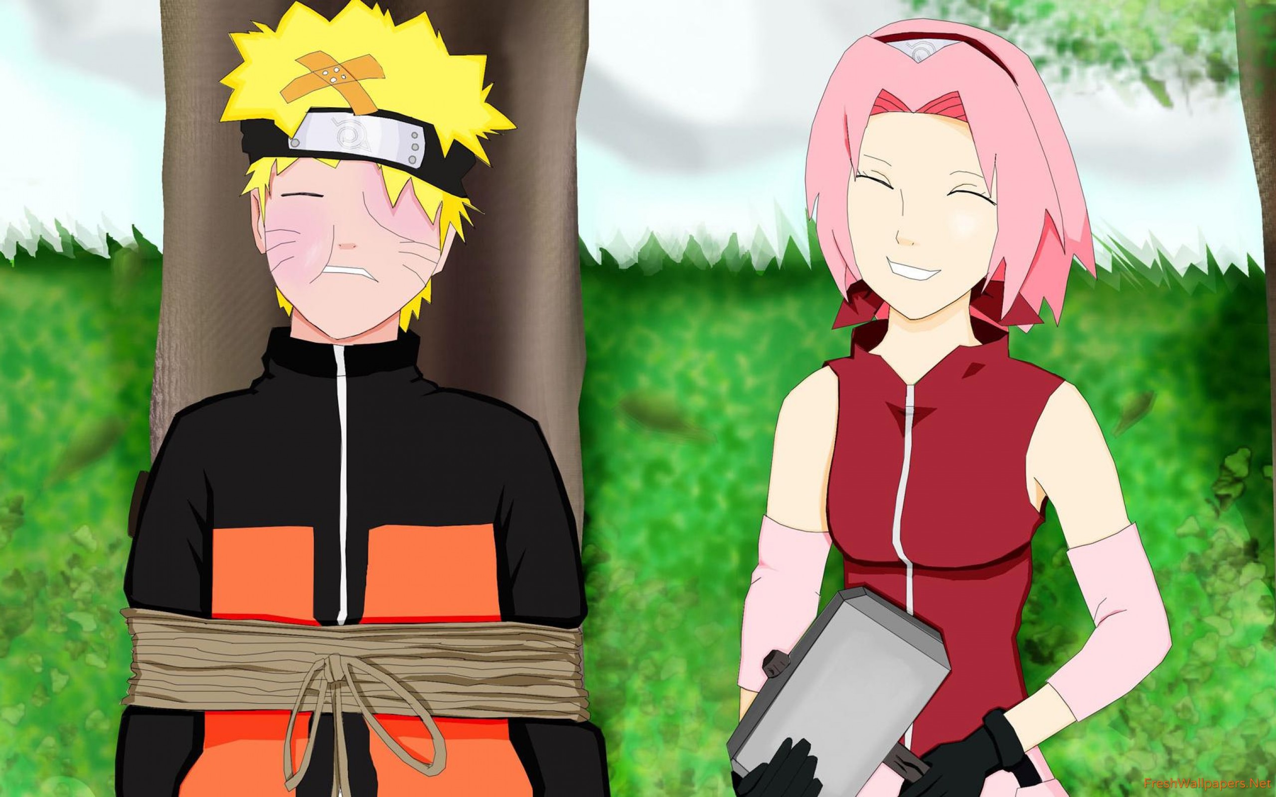 Sakura Haruno And Naruto - HD Wallpaper 