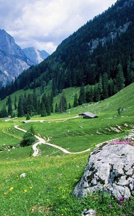 Nature Live Wallpaper - Green Mountains Of Pakistan - HD Wallpaper 