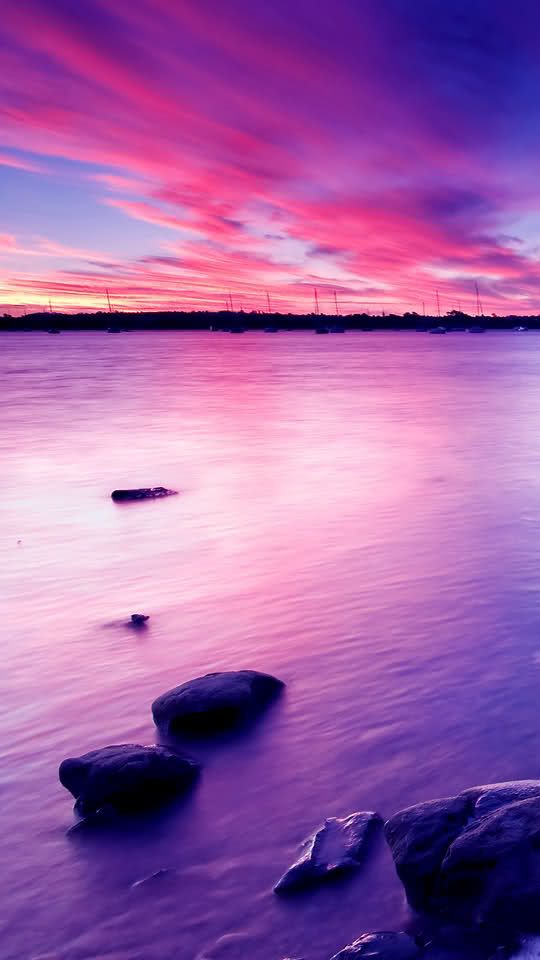 Hd - HD Wallpaper 