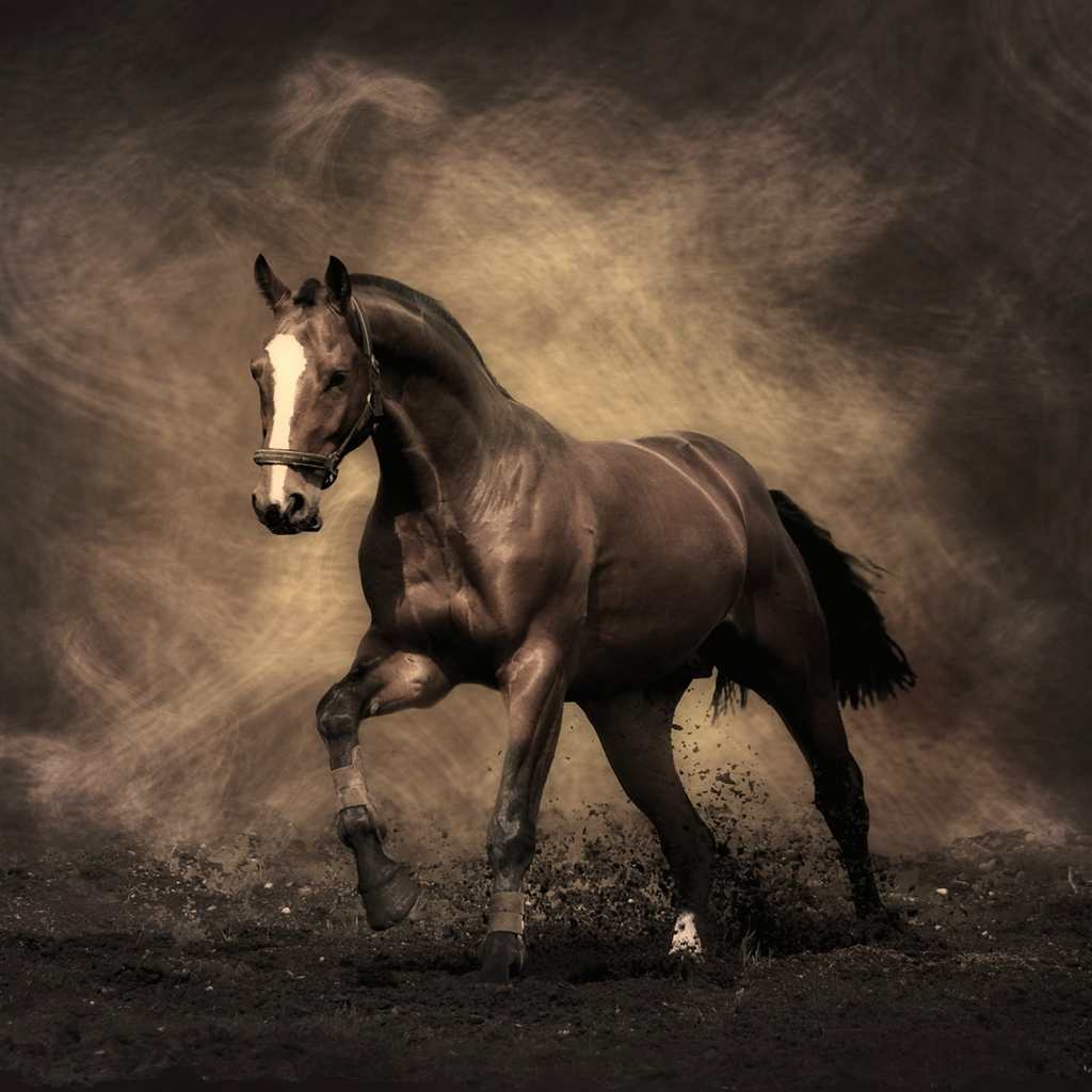 Running Horse Painting Art Ipad Air Wallpaper - Horses Wallpaper For Ipads - HD Wallpaper 