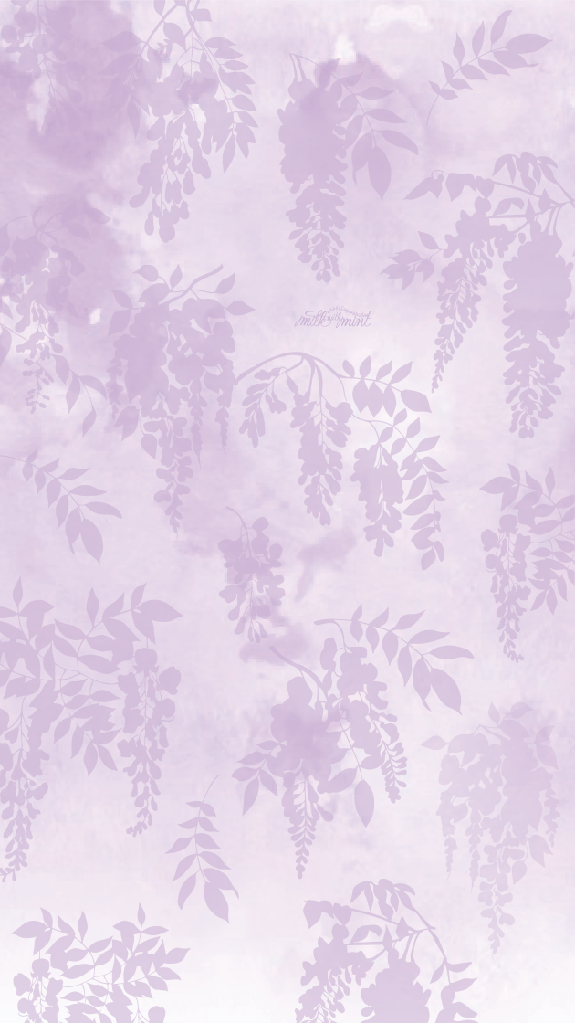 Wallpaper - HD Wallpaper 