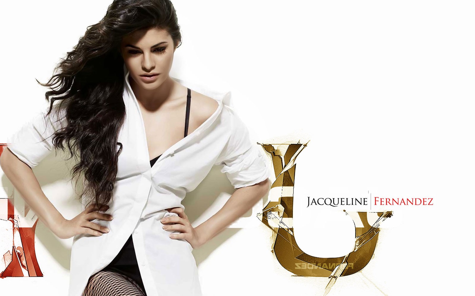 Jacqueline Fernandez In Bollywood Hungama - HD Wallpaper 