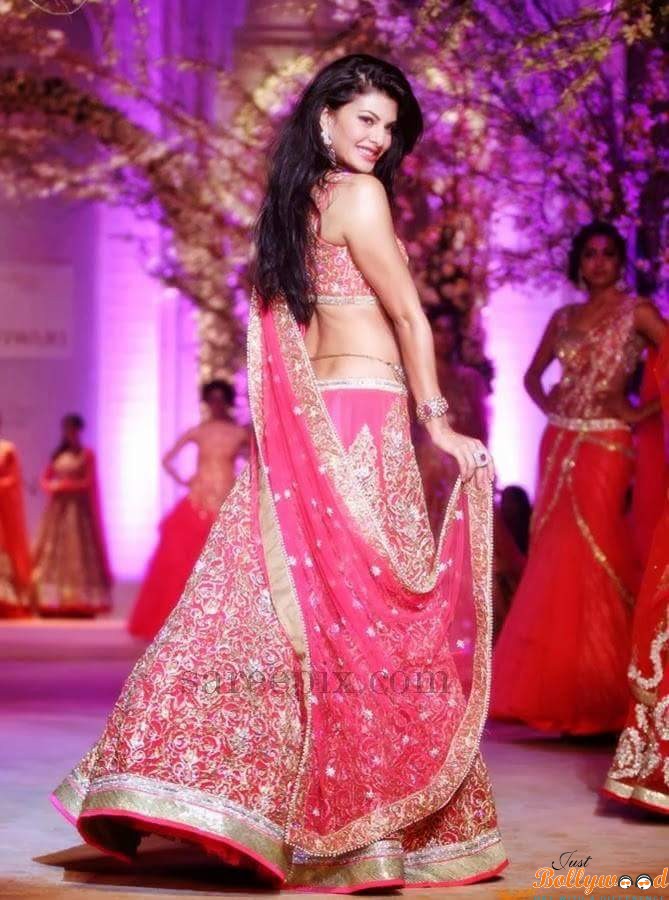 Jacqueline Fernandez Backless In Saree - HD Wallpaper 