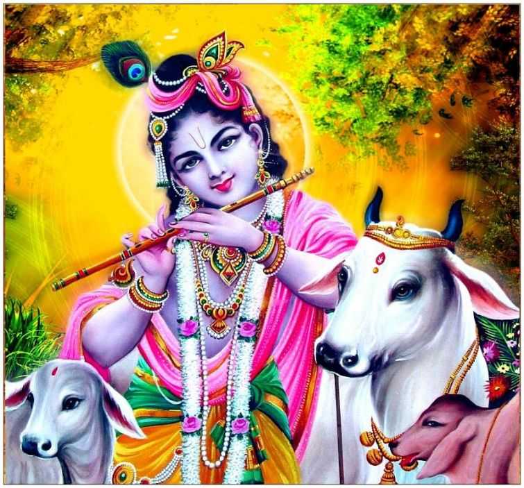 Krishna Full Hd 1080p High Resolution Dp 3d Whatsapp - 755x703 Wallpaper -  