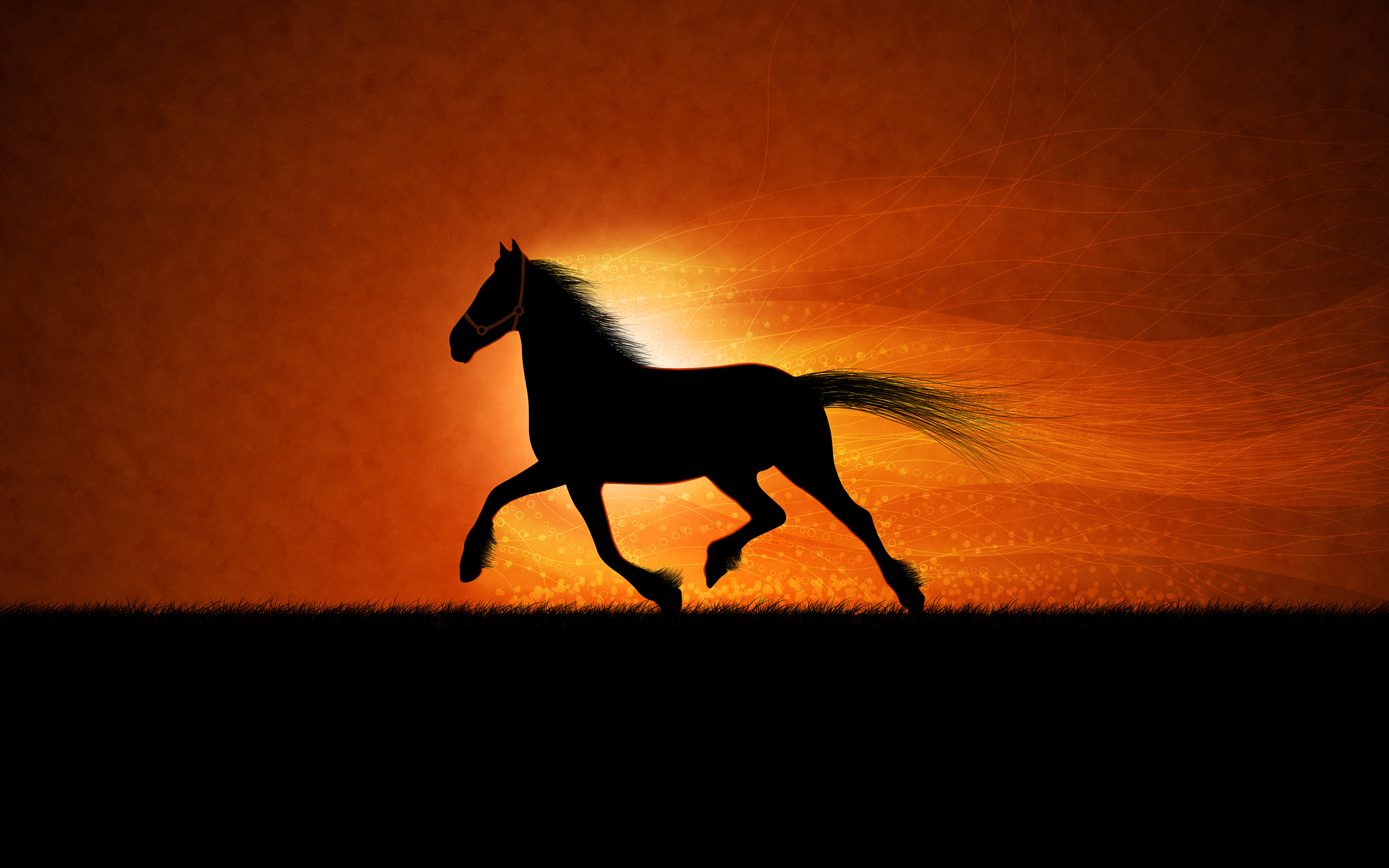 Running Horse - Horse Running In Sunset - HD Wallpaper 