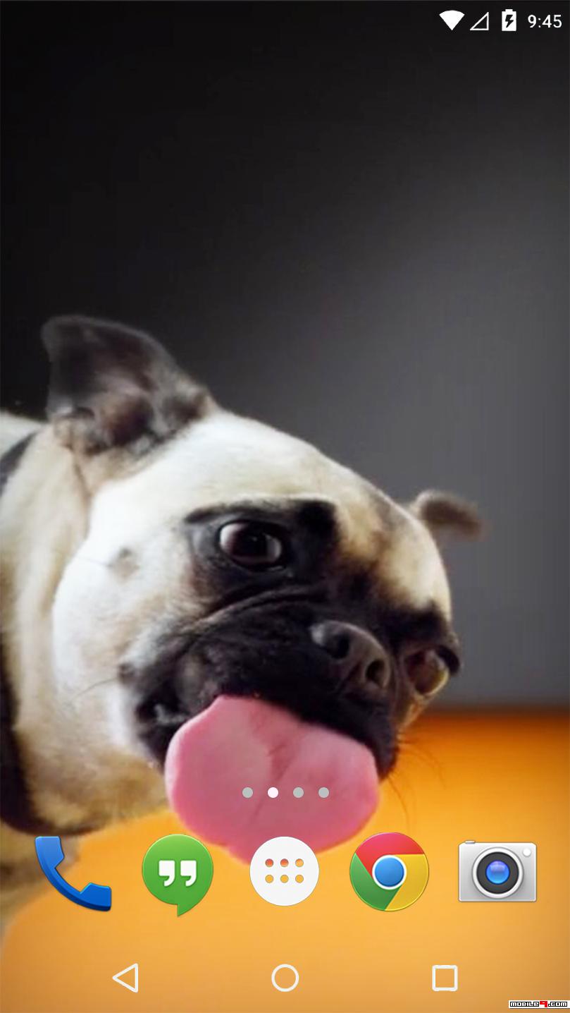 Protectores De Pantalla De Ninas En Bikini - HD Wallpaper 