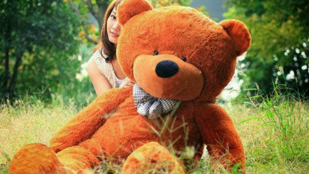 صور دباديب مع بنات - HD Wallpaper 