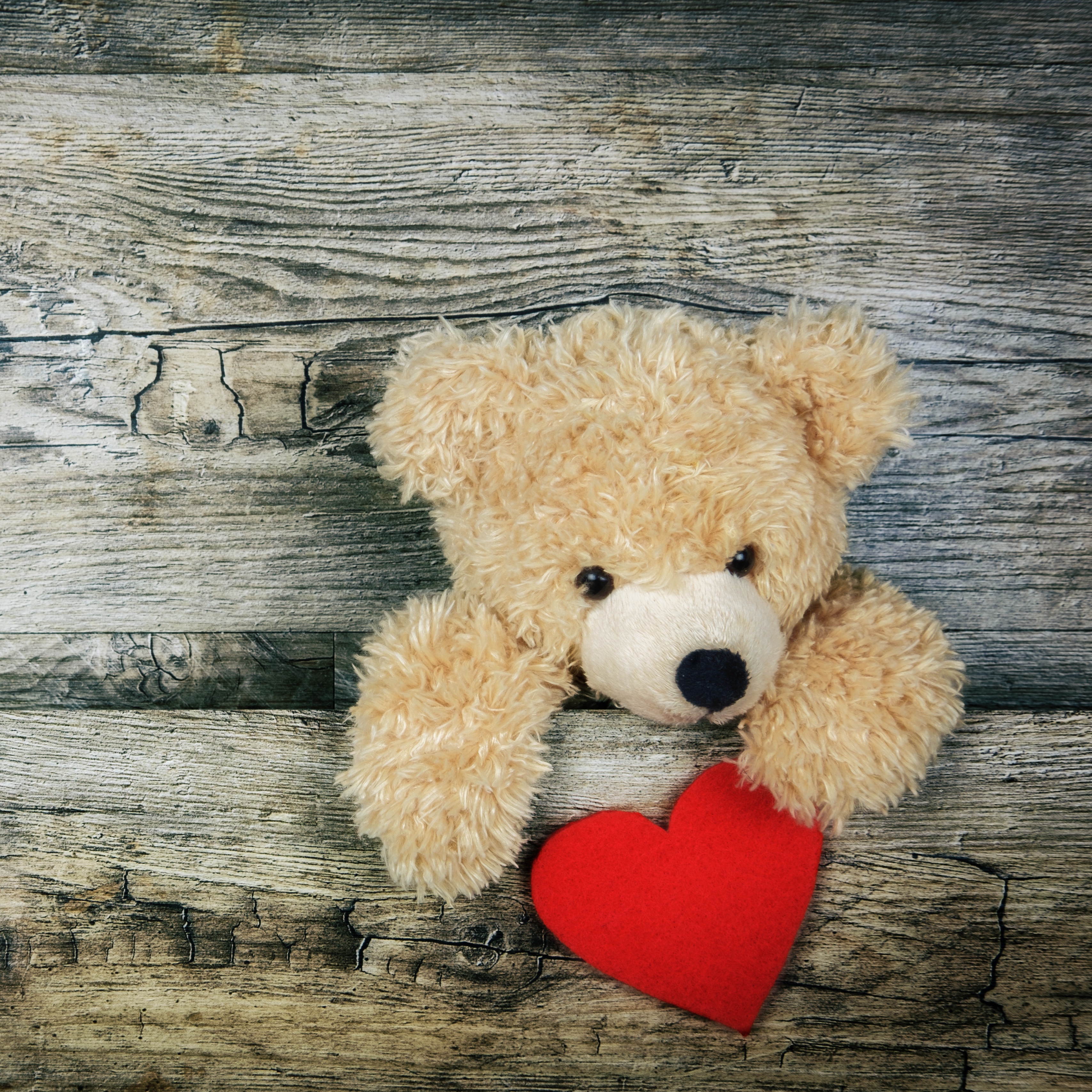 Wallpaper Teddy Bear, Heart, Valentines Day, Love - Teddy Bear Wallpaper Ipad - HD Wallpaper 