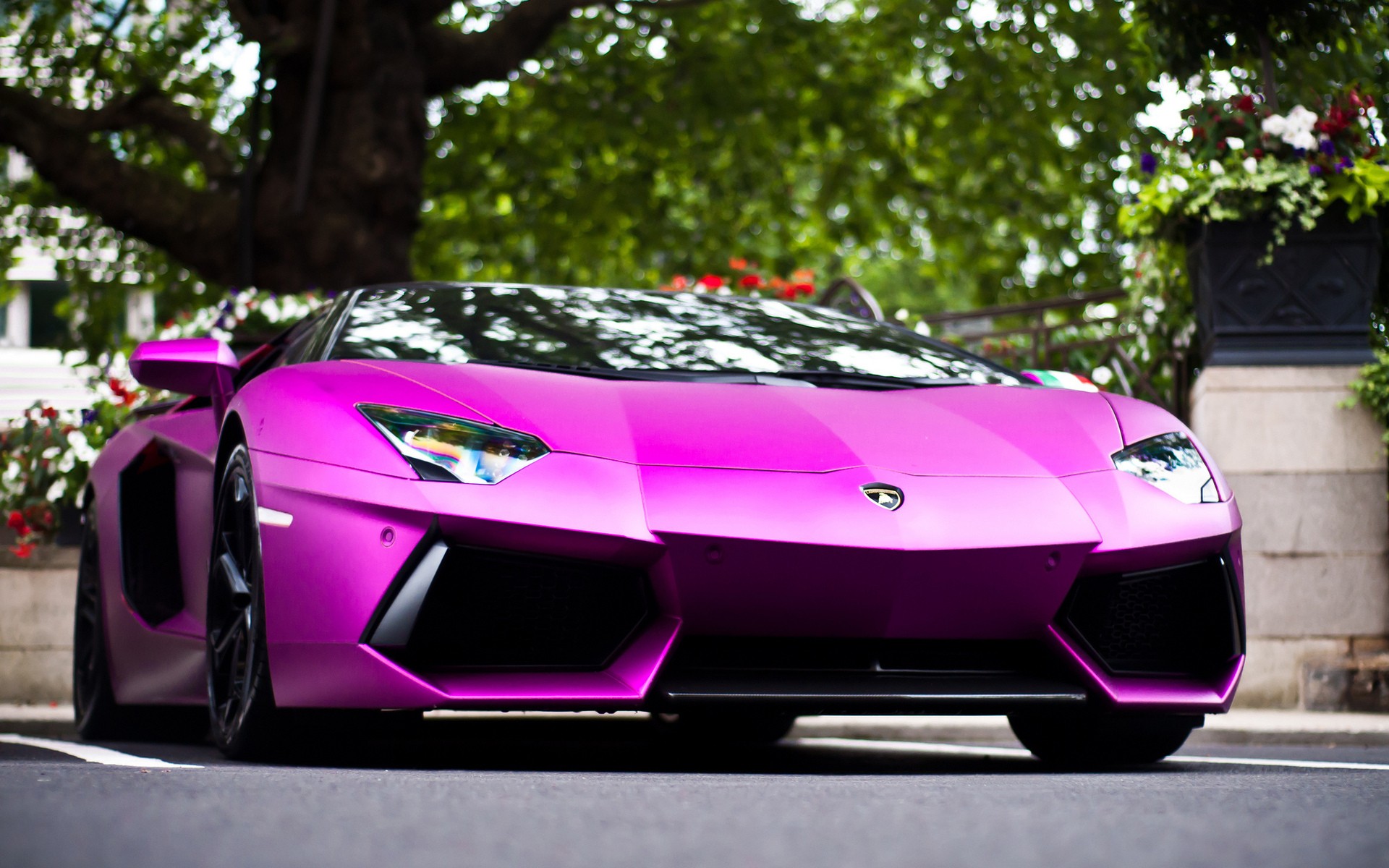 Lamborghini Purple - HD Wallpaper 