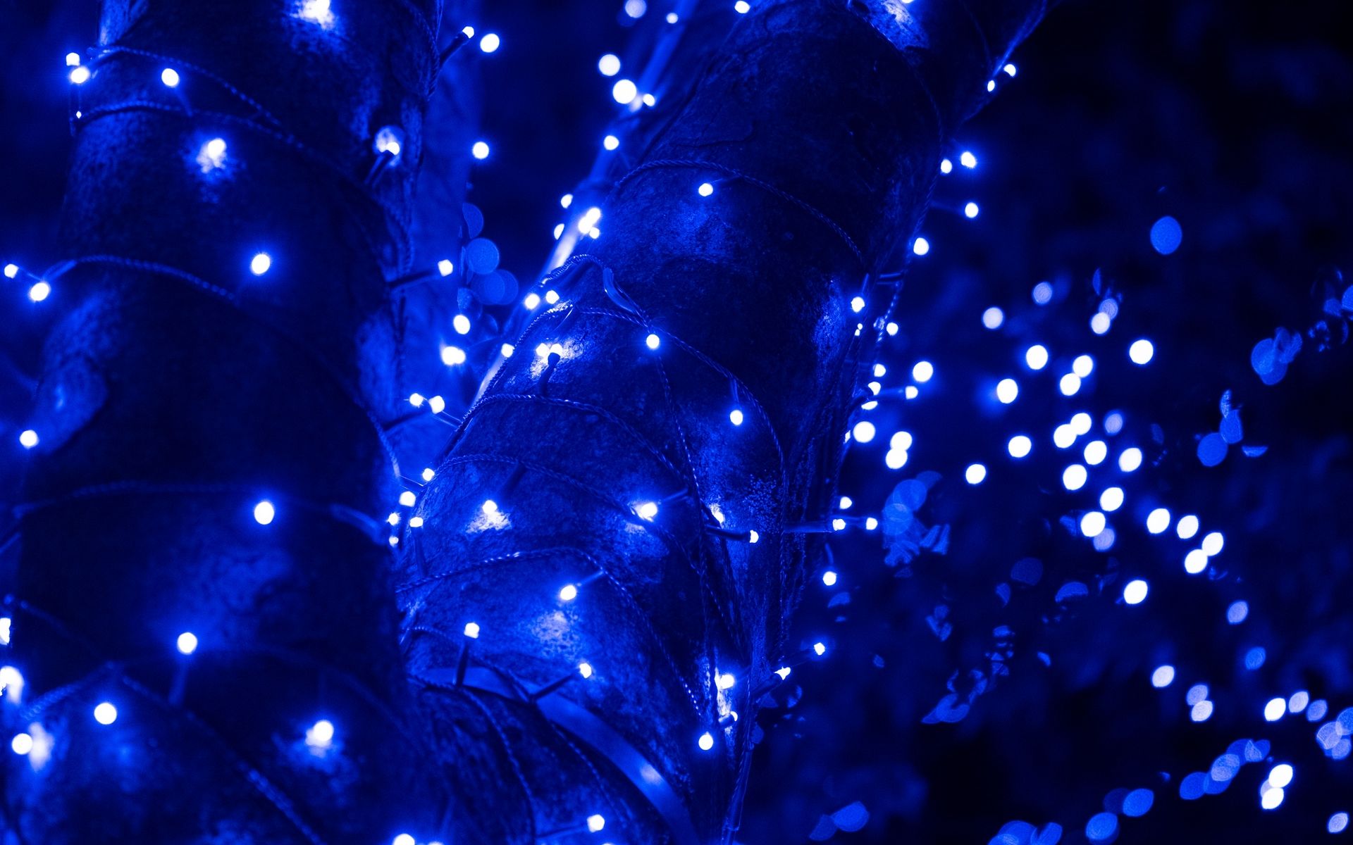 Dark Blue Garland Background - HD Wallpaper 