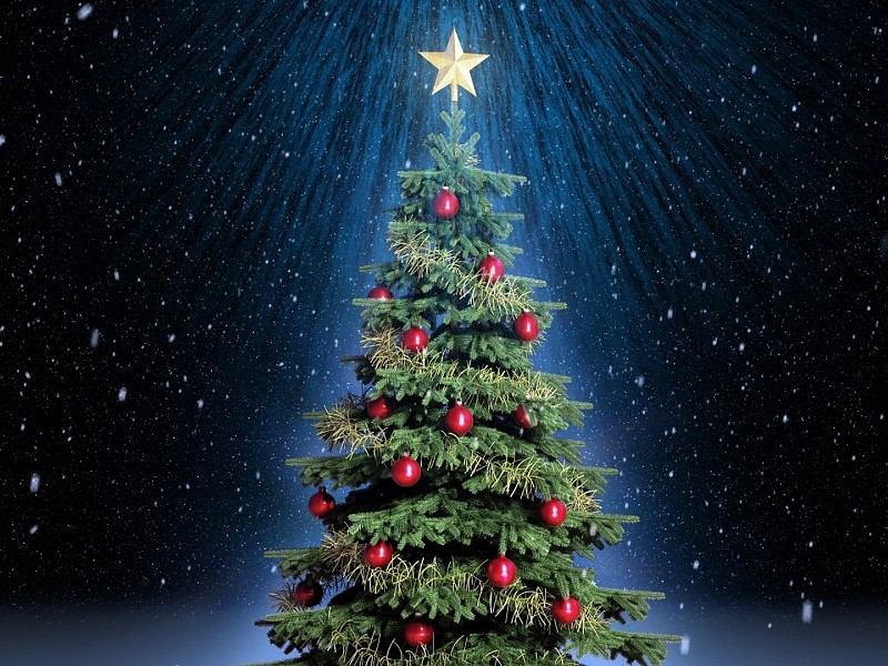 Árbol De Navidad Classic Wallpaper Hd Fondo De Pantalla - Iphone 8 Plus Christmas - HD Wallpaper 