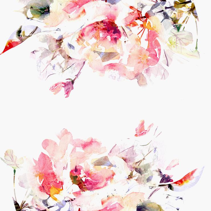 Spring Floral - HD Wallpaper 