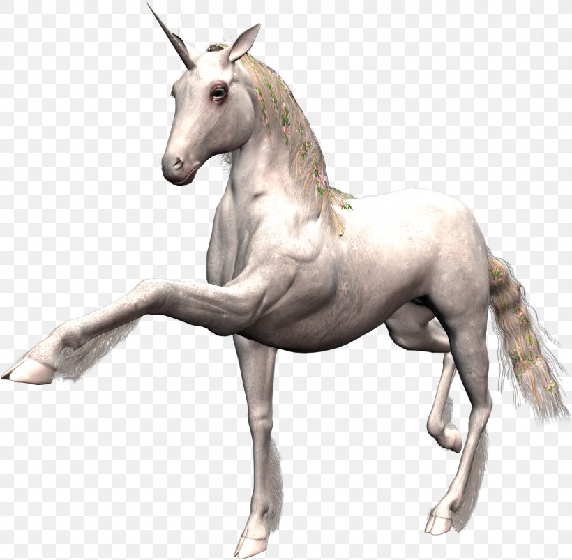 Horse Unicorn Desktop Wallpaper, Png, 1600x1567px, - Gifs De Unicornios Corriendo - HD Wallpaper 
