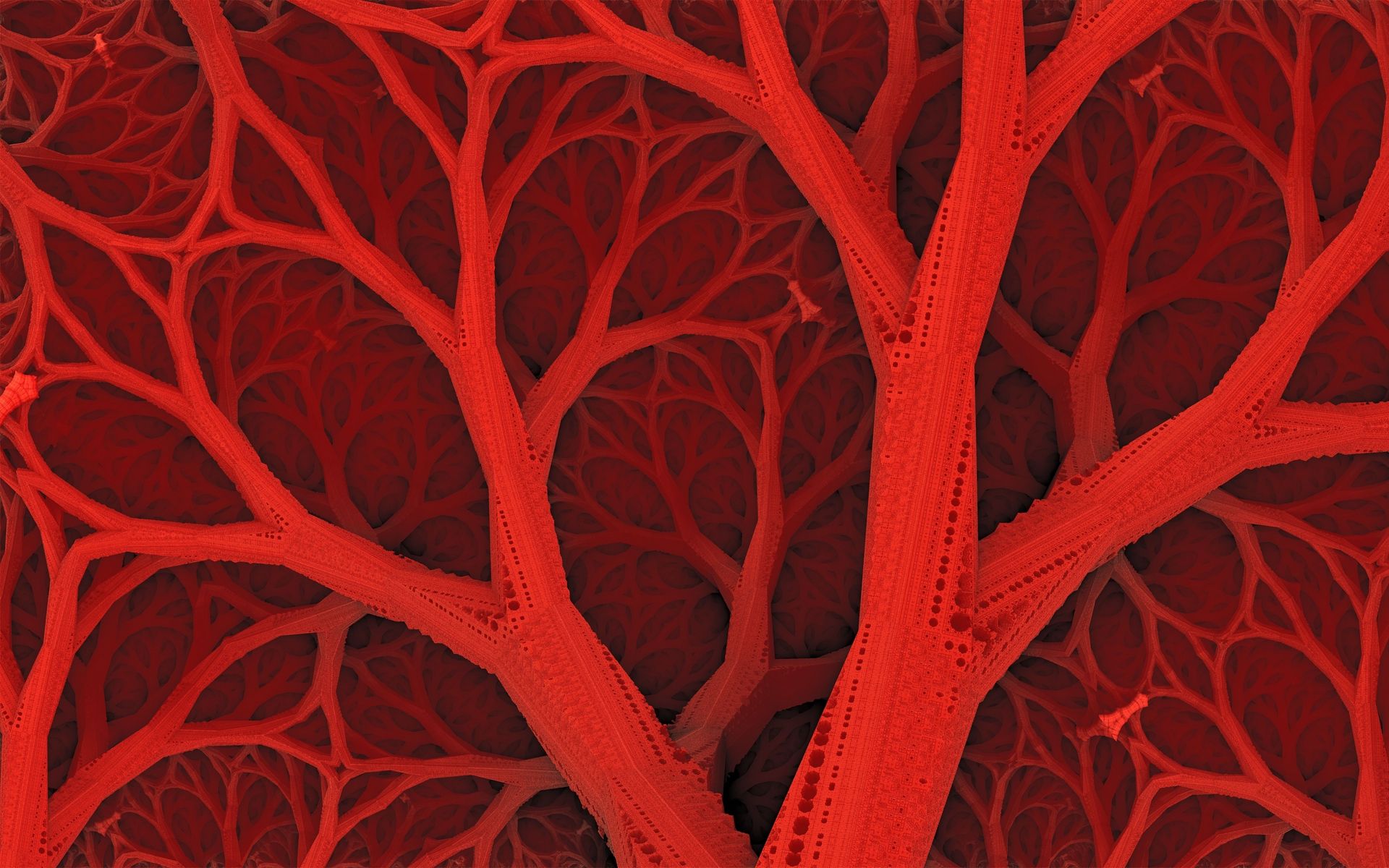 16:10 Aspect Ratio - HD Wallpaper 