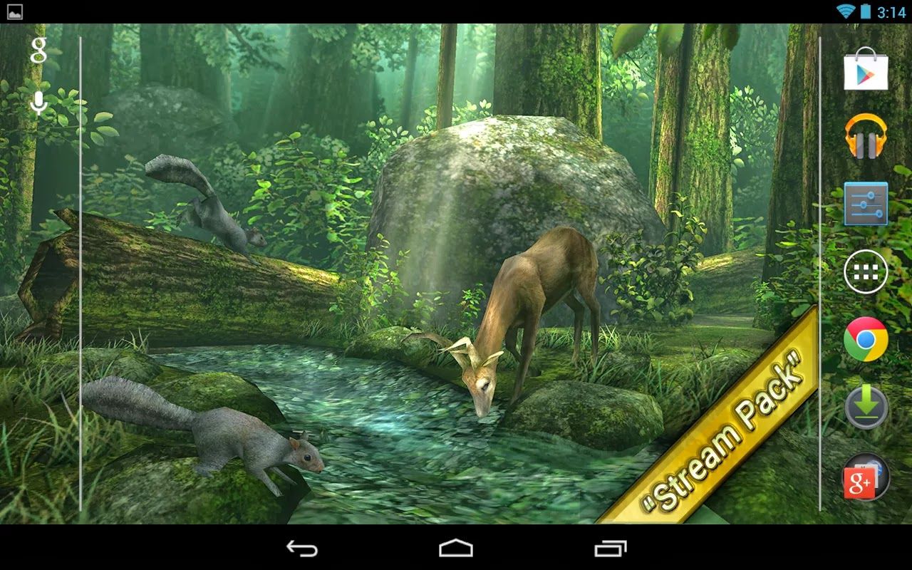 Forest Live Wallpaper Apk - 1280x800 Wallpaper Forest Live Wallpaper Apk - 1280x800 Wallpaper