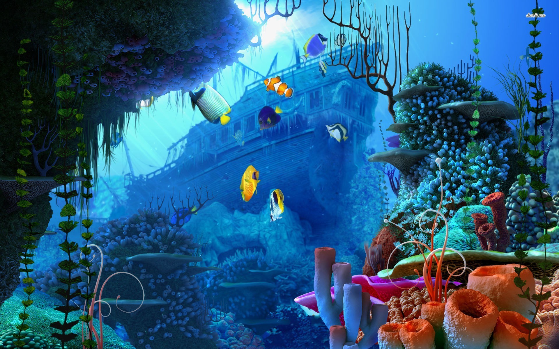 Underwater Wallpaper Hd - HD Wallpaper 