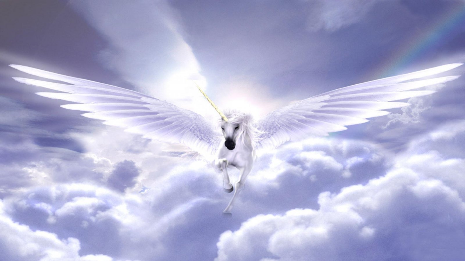 Wallpapers De Unicornios - Unicorns Flying - HD Wallpaper 