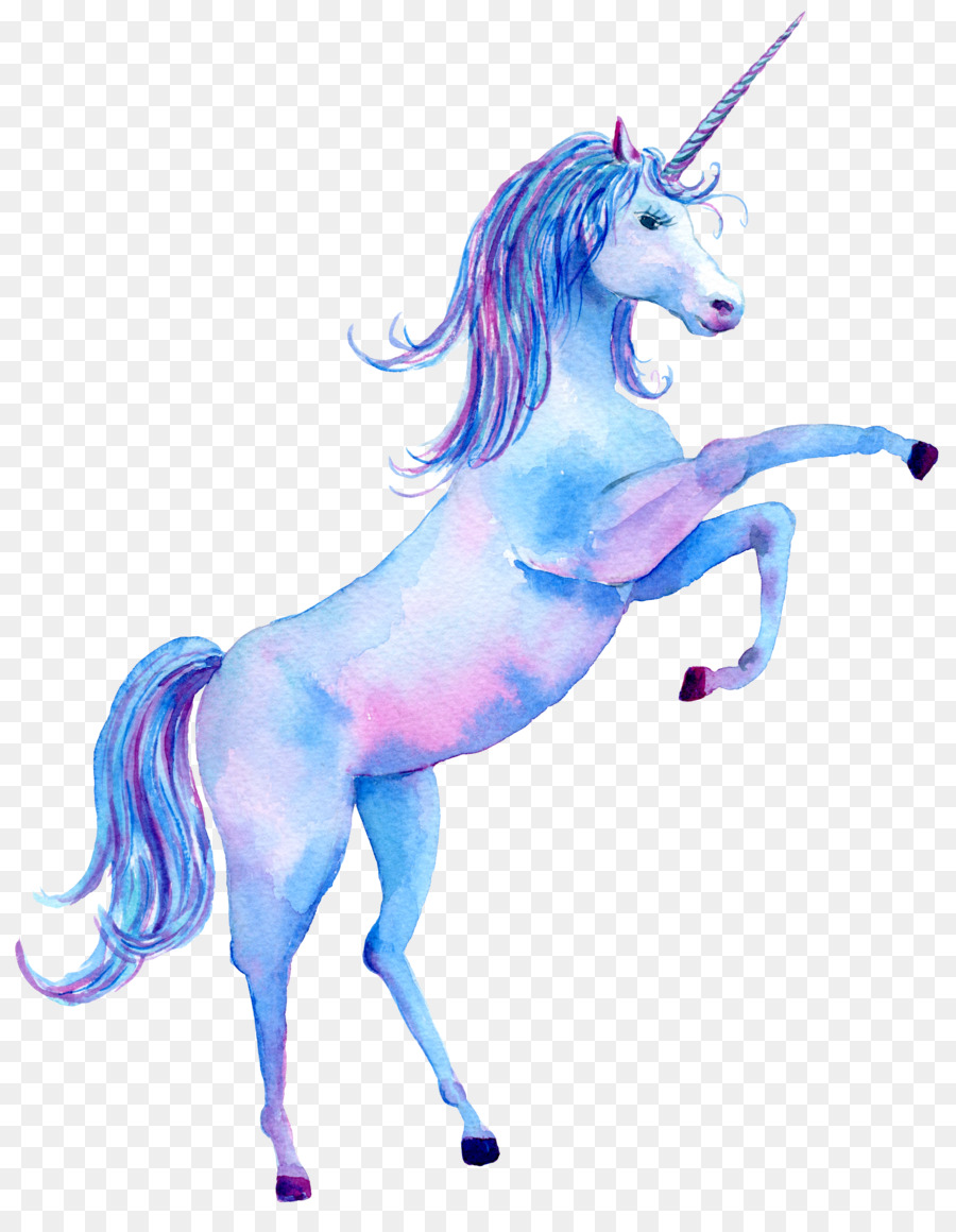 Descarga Gratuita De Unicornio Hd Wallpapers, Fondo - Unicorn Follow Your Dreams - HD Wallpaper 