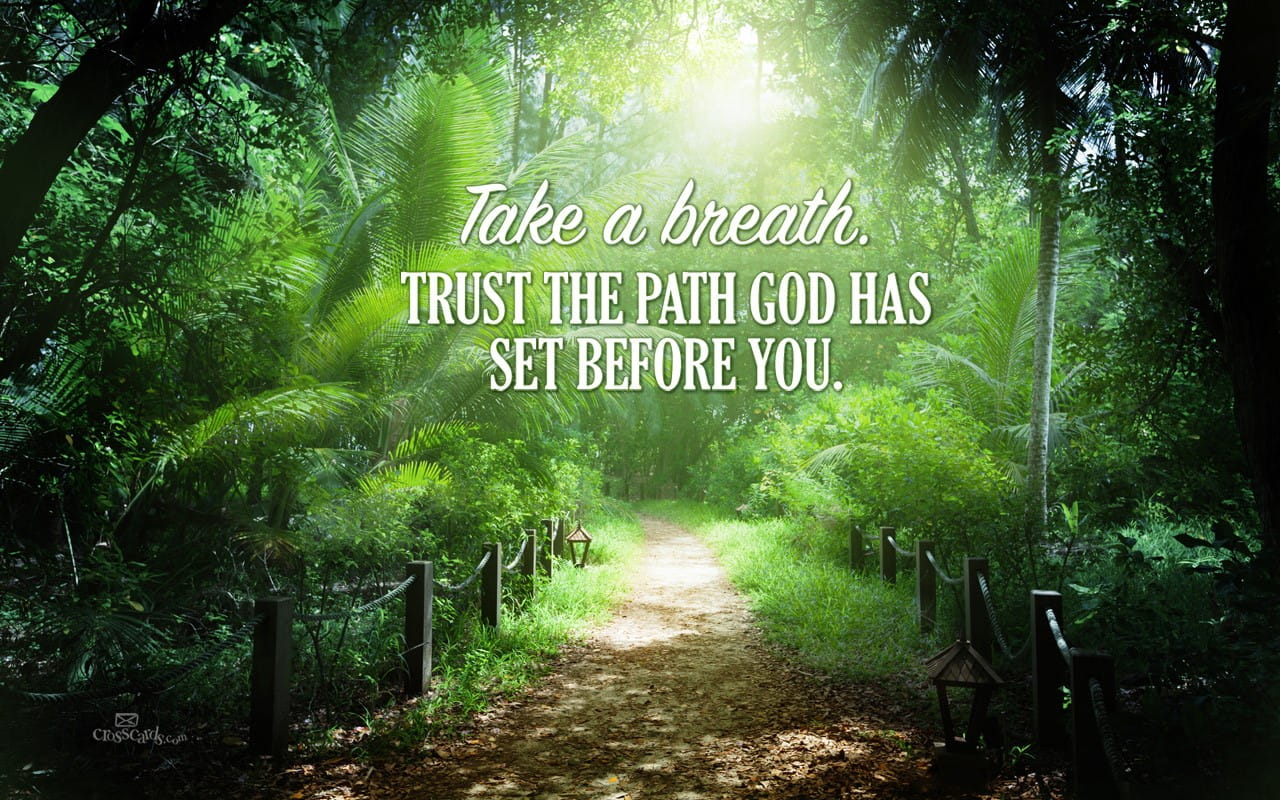 Trust The Path You - HD Wallpaper 