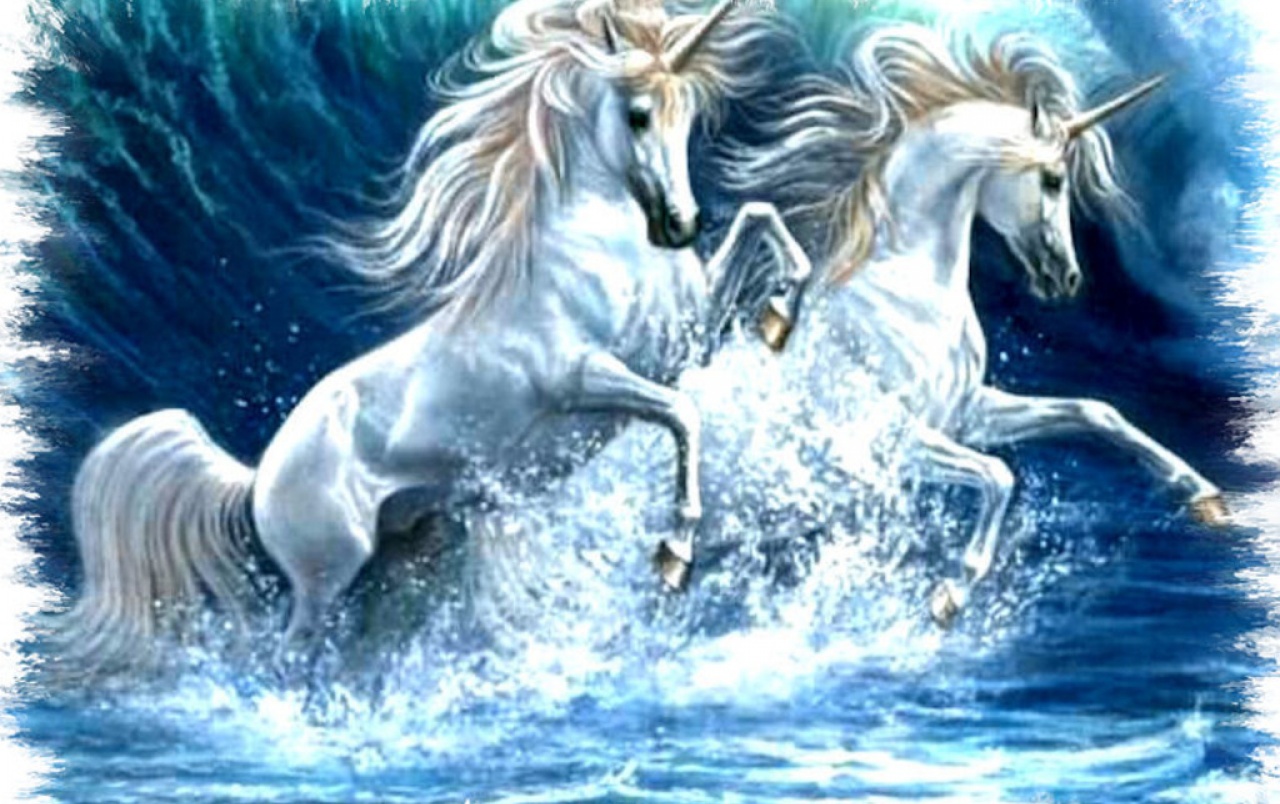 Unicornios Wallpapers - Unicorn In The Ocean - HD Wallpaper 