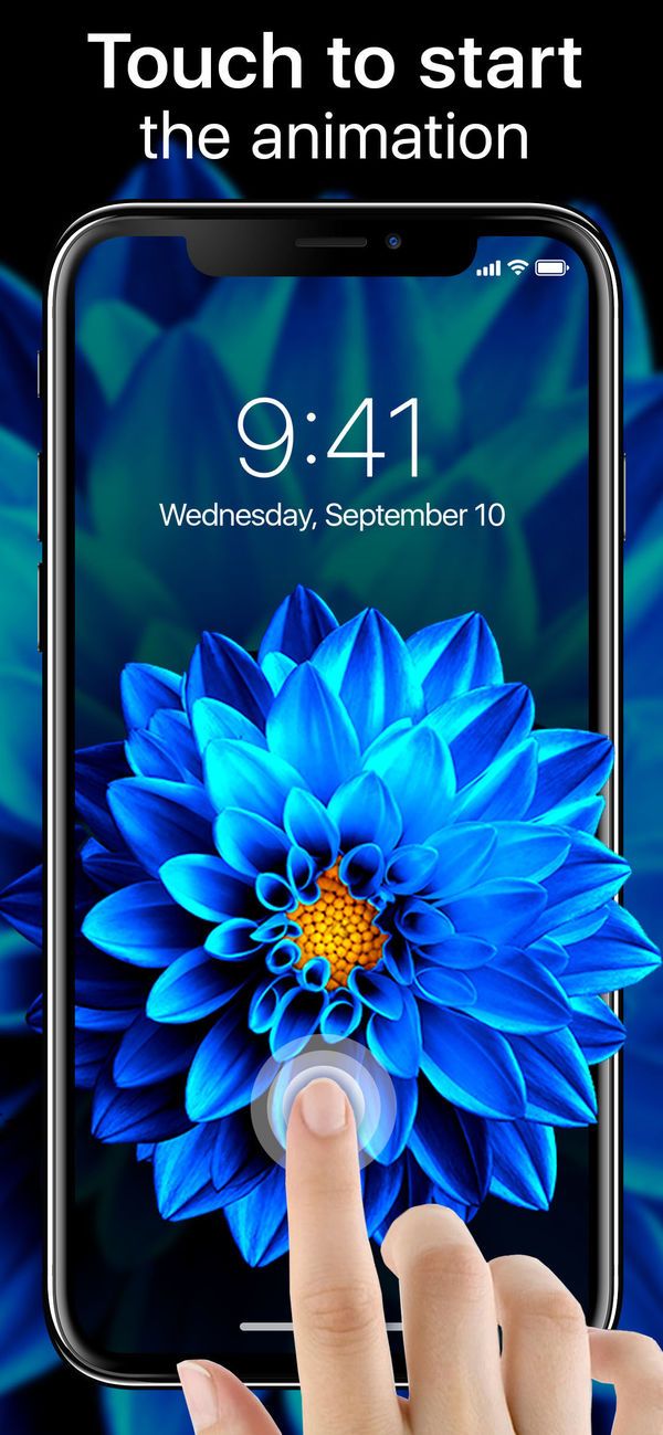 Black And White Flower Dahlia - HD Wallpaper 