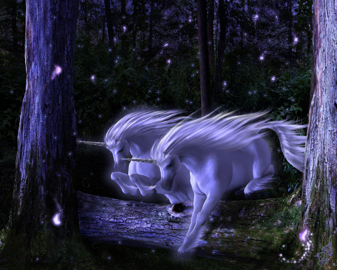 Unicorn Wallpaper - Unicorn In Magical Forest - HD Wallpaper 