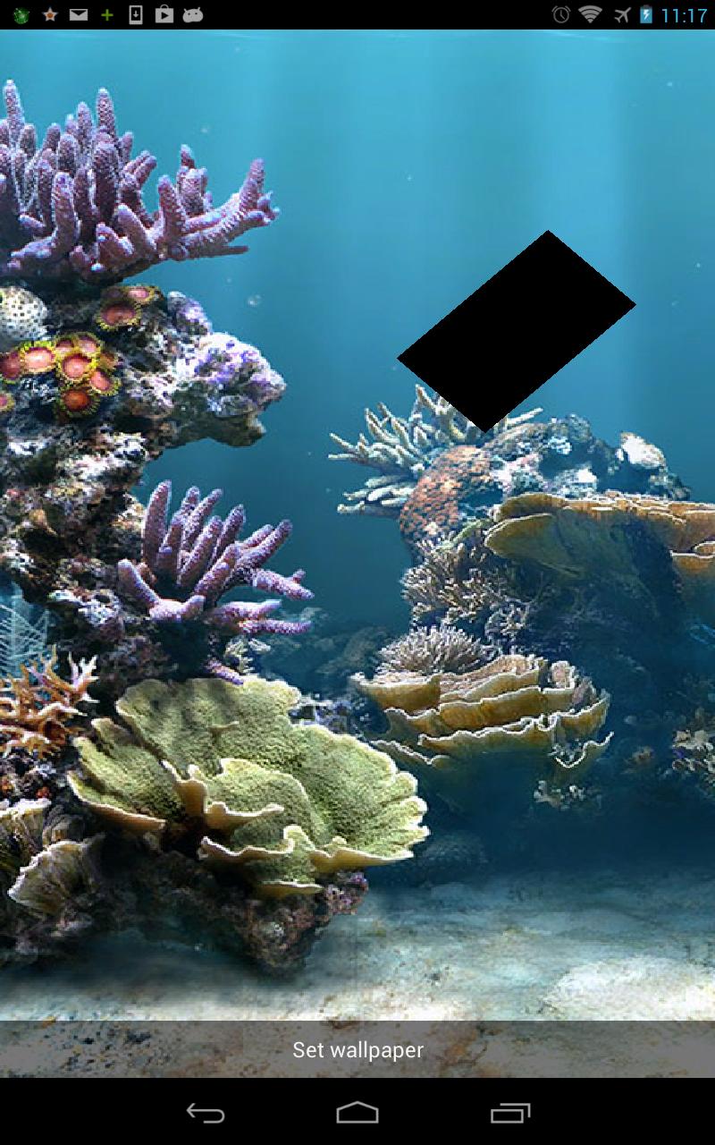 Enter Image Description Here - Fish Tank Phone Background - HD Wallpaper 