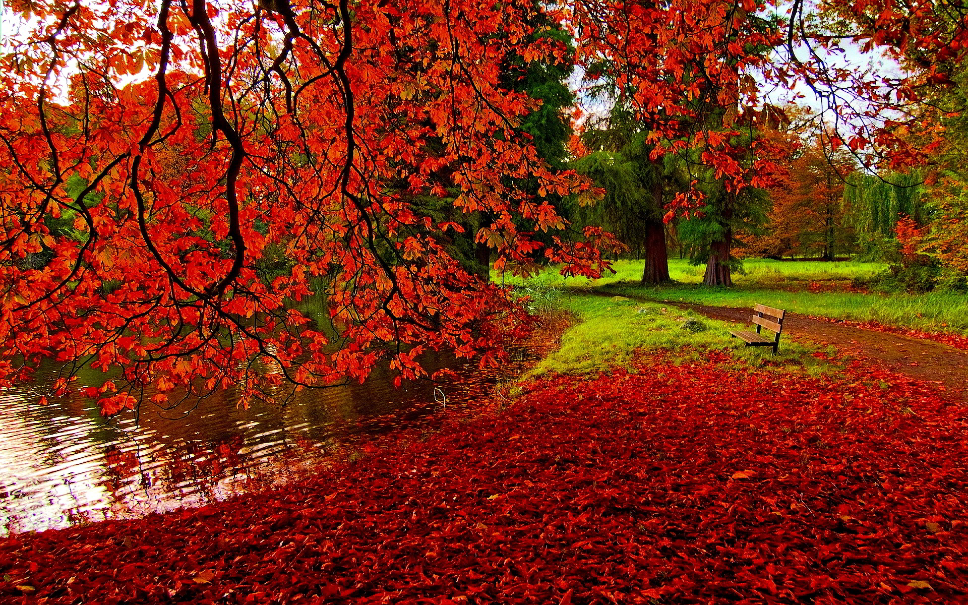 Romantic Autumn Wallpaper - HD Wallpaper 