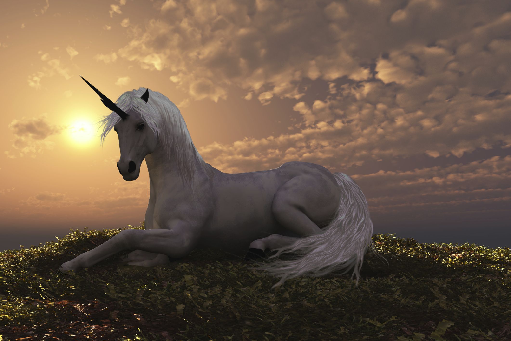Does Unicorns Look Like - HD Wallpaper 