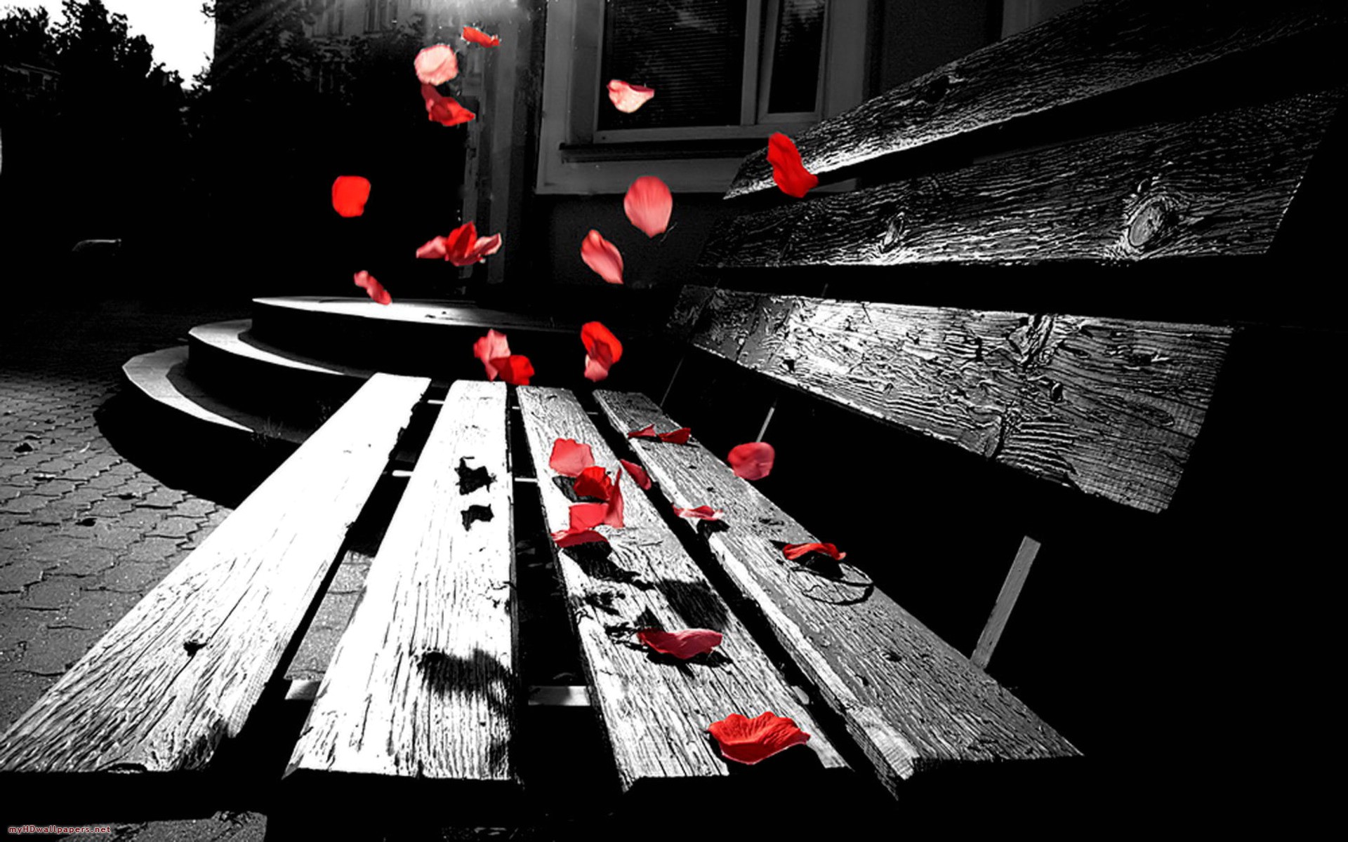 Featured image of post Love Full Screen Wallpaper Hd Black Background / Download free hd wallpapers for desktop full screen desktop background desktop background from the above display resolutions.