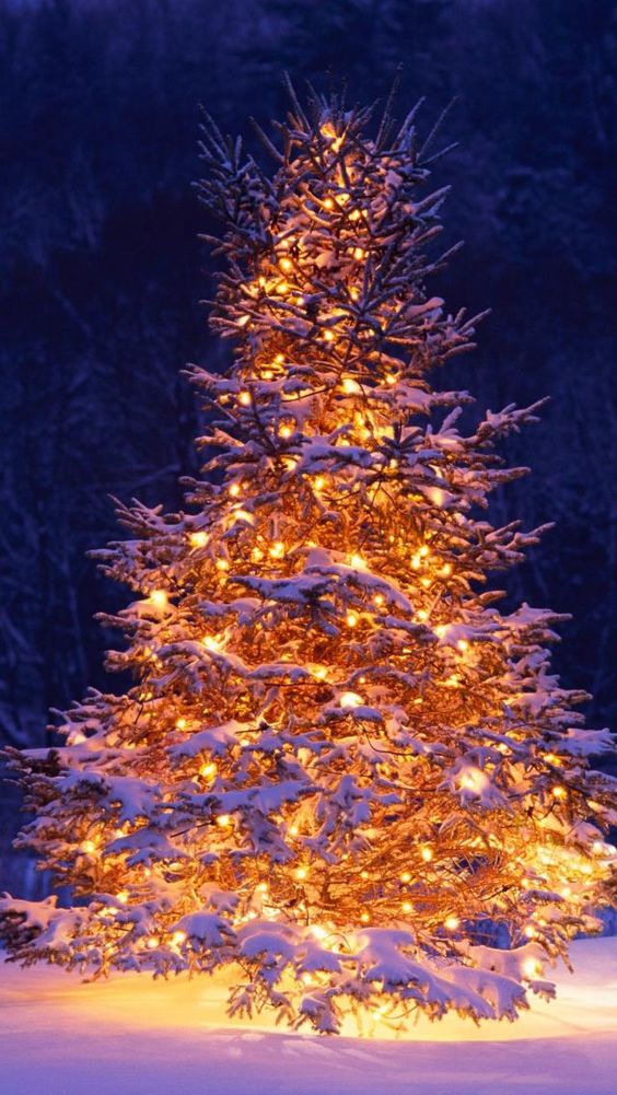 Christmas Tree Background For Iphone - HD Wallpaper 