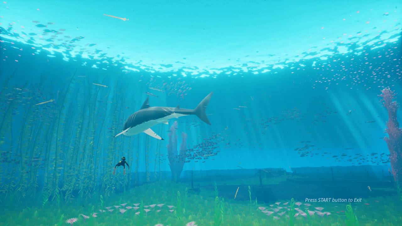 Abzu Wallpaper 4k - HD Wallpaper 