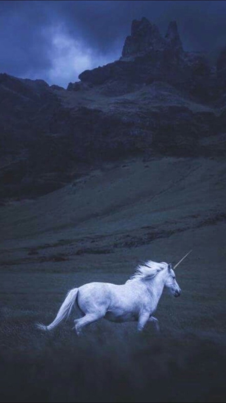 Unicorn, Wallpaper, And Horse Image - Invitetoislam Org - HD Wallpaper 