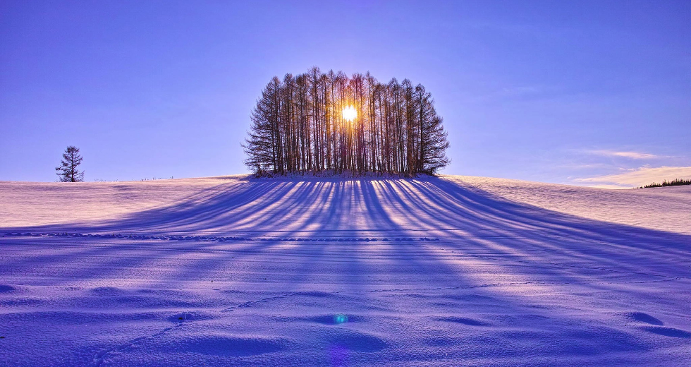 Sun Rays In Winter - HD Wallpaper 