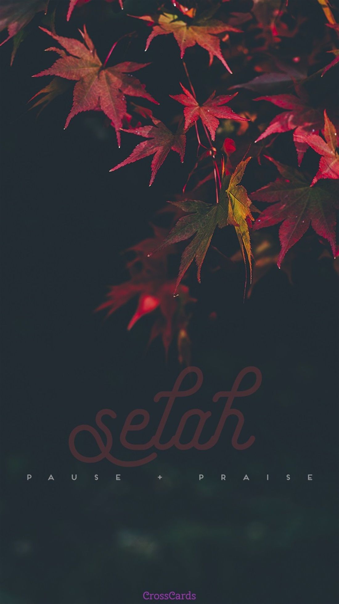 All The Problems Are Stuck Between Mind - HD Wallpaper 