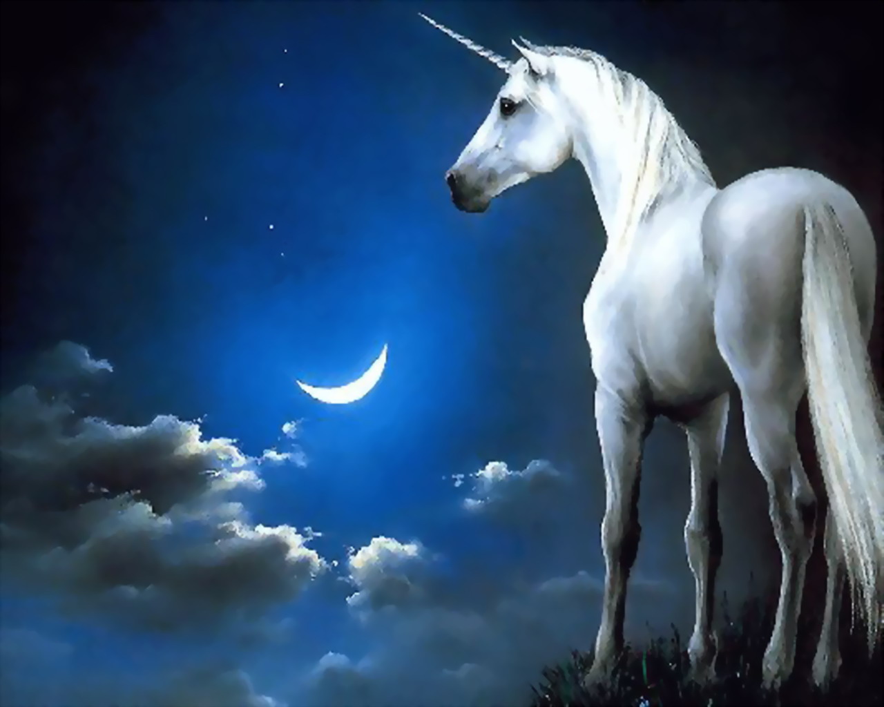 Unicorn Horse - 1280x1024 Wallpaper ...