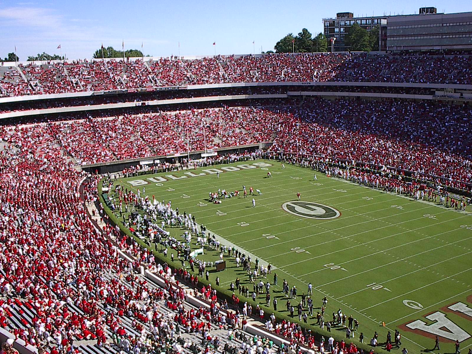 Uga Hd - HD Wallpaper 