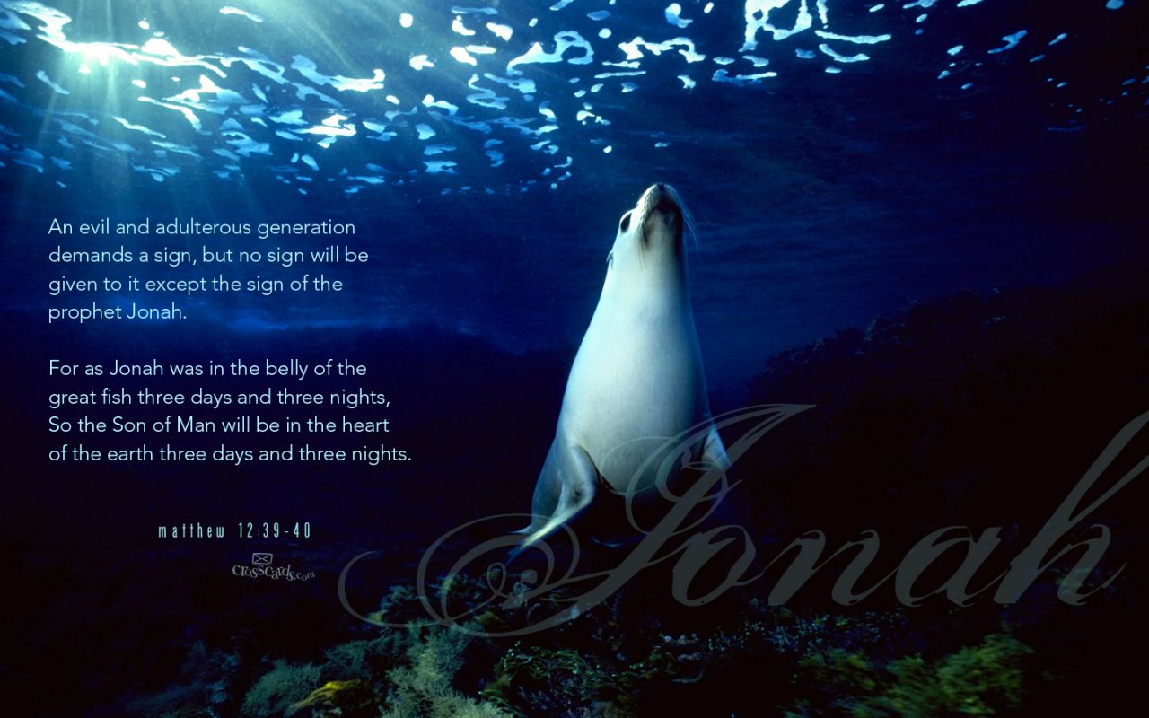 Crosscards Free Wallpaper For Computer Desktop Www - Тихий Океан Морские Котики - HD Wallpaper 