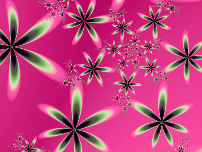 Pink Wallpaper - Hd Wallpapers Pink Colour - HD Wallpaper 